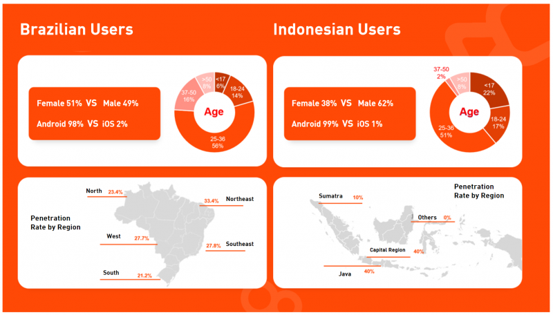 The Emerging Gaming Markets - Brazil and Indonesia:Market Landscape and